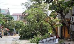 TP Đồng Hới tan hoang sau trận  "siêu bão "