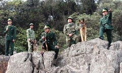 Chùm ảnh đặc biệt lính biên phòng tuần tra cùng chó nghiệp vụ