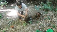 Tái thả về rừng 3 loài động vật hoang dã thuộc nhóm nguy cấp