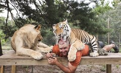 Người đàn ông 43 tuổi sống cùng  "sát thủ rừng xanh " trong 9 năm