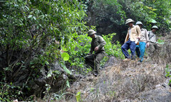 Cảnh báo tình trạng lâm tặc phá đá “săn” Hoàng Đàn