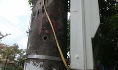 Xác định danh tính đối tượng nổ súng gây chấn động thành Vinh