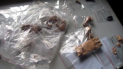 Hà Tĩnh: Truy tìm dấu tích hiện vật thời tiền sử