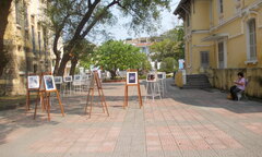 Ngắm niềm vui của người lao động Việt qua ống kính người Nhật