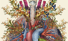 Xem hình người  "giải phẫu " qua bộ ảnh hoa lá độc đáo