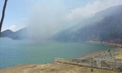 “Bà hỏa” ghé thăm 10ha rừng thông trong độ tuổi khai thác