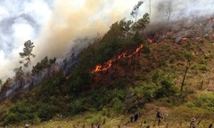 Nghệ An: Nửa tháng xảy ra 14 vụ cháy rừng 