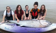 Bắt được cá ngừ vây xanh khủng, nặng 136kg