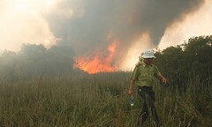 Cháy rụi 10ha rừng tại vùng cát Quảng Điền