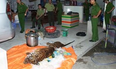 Bắt quả tang vụ vận chuyển 90kg xương hổ trái phép