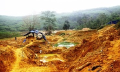 Nhức nhối “vàng tặc” tại Bồng Miêu