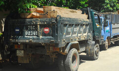 Liên tiếp bắt giữ 3 vụ gỗ lậu tại Thừa Thiên - Huế