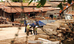 Bộ Công an rầm rộ truy quét gỗ lậu tại Đắk Lắk