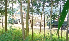 Cát tặc hoành hành, chính quyền tiếp tay hay bất lực?