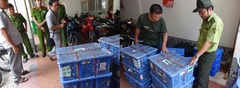 Chặn đứng 2 vụ vận chuyển động vật hoang dã bằng đường hàng không