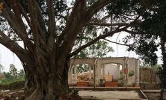 Quảng Bình: Phát hiện 4 bức tượng cổ tại chùa Hoằng Phúc