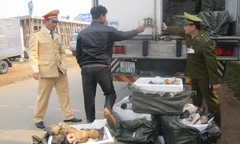 Bắt giữ gần 1,4 tấn chân trâu, bò thối trên đường tuồn vào TP HCM