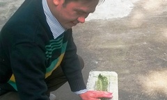 Phát hiện tấm bia đá cổ thời Nguyễn tại Hà Tĩnh