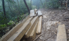 Thu giữ 60m3 gỗ vô chủ tại khu vực biên giới