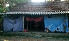 Nhói lòng mẹ già 88 tuổi nuôi con điên dại