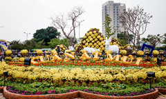 Đường hoa Xuân Đà Nẵng lộng lẫy đón Tết Nguyên Đán