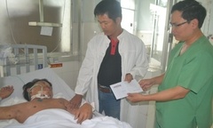 Một người nguy kịch do bị ong vò vẽ đốt hàng trăm vết