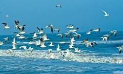 Tổng Cục Biển và Hải đảo Việt Nam có lãnh đạo mới