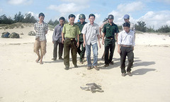 Rùa biển quý hiếm được ngư dân phát hiện