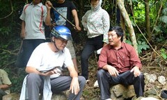 Vụ dùng thuốc diệt cỏ để dọn rừng: Đùn đẩy trách nhiệm