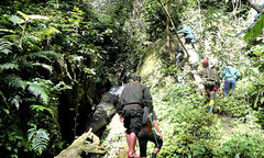 Đội bảo vệ sao la