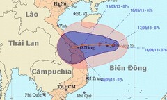 Bão số 8 đang hướng thẳng vào miền Trung