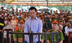 Tông chết người chỉ vì con trâu