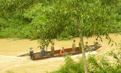 Nghệ An: Lũ về, đau thương nối tiếp đau thương	