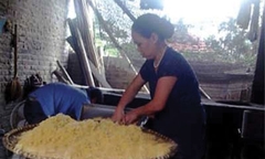  "Ruốc sắn dây " phổ biến ở Hà Nội