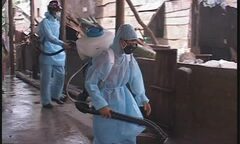 Môi trường ô nhiễm nặng sau bão lũ