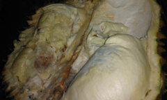 Sầu riêng vỉa hè Hà Thành: Tươi ngoài, thối trong