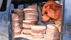 Bắt xe vận chuyển 632 thớt gỗ nghiến không giấy tờ