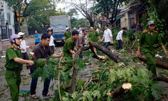 Giúp dân dọn bão, phó công an xã tử vong