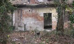 Tử thi chết cứng trong ngôi nhà hoang