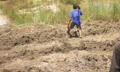 Đổ xô đi 'mót' vàng ở Phước Sơn