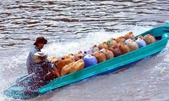 Bắt nhóm đối tượng buôn lậu dầu qua Campuchia