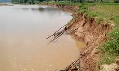 Hòa Bình:  "Vàng tặc " xé nát sông Bôi 