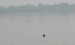 Liên tiếp phát hiện xác chết nổi trên sông Hồng (trùng bài)