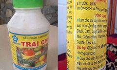 Xử phạt công ty sản xuất hóa chất ép chín sầu riêng