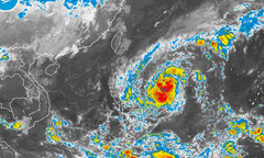 Chủ động công tác đối phó với bão Krosa