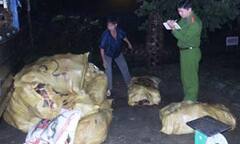 Bắt giữ gần 800kg chân, mỡ, da trâu không rõ nguồn gốc