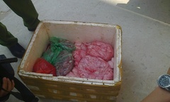 Phát hiện, thu giữ gần 1 tấn lòng thối trên xe tải