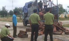 Bị phát hiện chở gỗ lậu, lâm tặc bỏ của chạy lấy người
