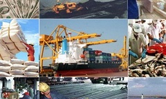 Kinh tế 2014 – CEO & Bài học đắt giá trong tiến trình phát triển DN