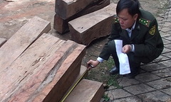 Bắt giữ 2 vụ buôn gỗ lậu quy mô lớn 